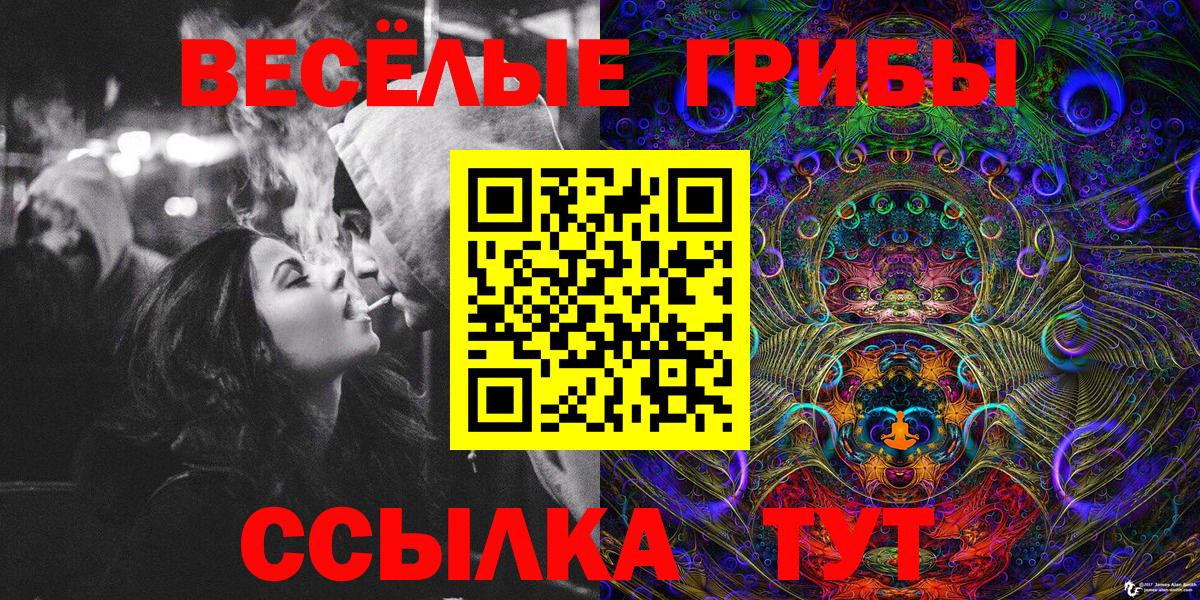 где найти наркотики  Вход с VPN  Пушкино  Галлюциногенные грибы мухоморы 